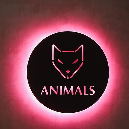 Animals Hotel อาฮานกามา ภายนอก รูปภาพ